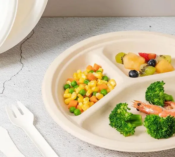 Paper vs. Bagasse Disposable Tableware: Which is More Sustainable?