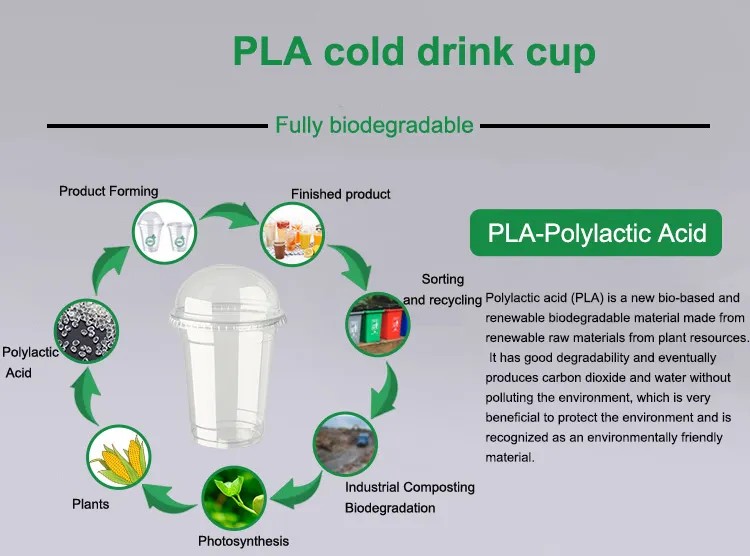 Disposable-Takeaway-Packing-10oz-Biodegradable-Cold-Cup-Food-Grade-Clear-PLA-Cups.jpg