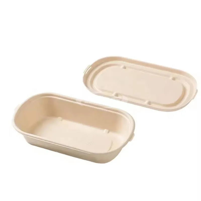 Biodegradable 8 inch 9 inch Bagasse Lunch Box Container Packaging Takeaway Paper Pulp Lunch Box
