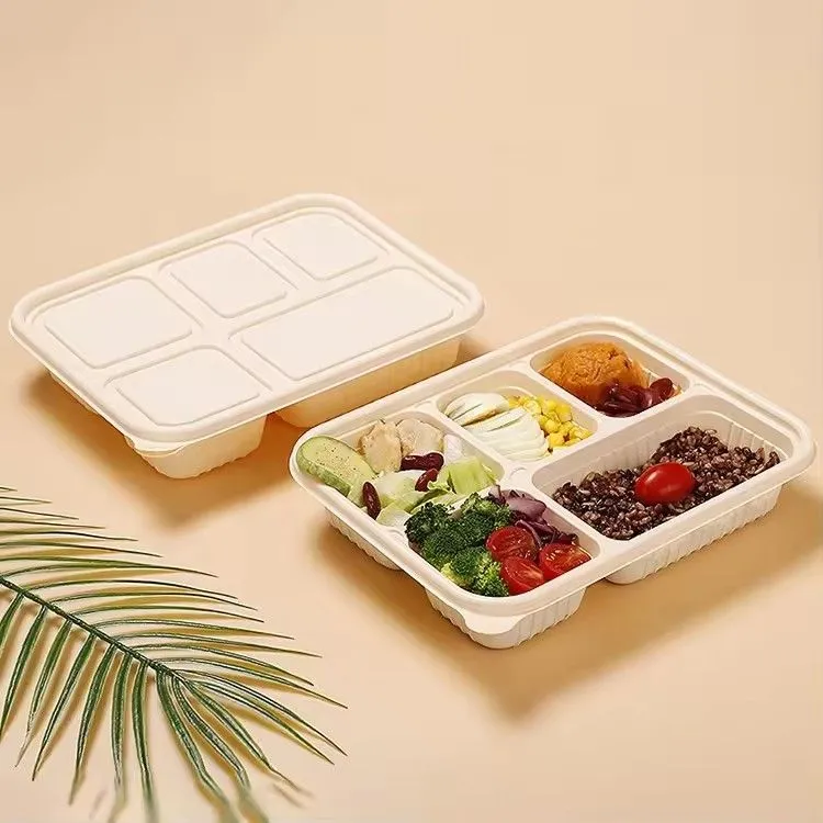 Biodegradable disposable food container packaging box 5 compartment microwave safe takeout cornstarch lunch box