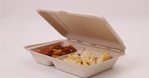 biodegradable lunch boxes