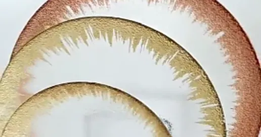 gold rim glass plate