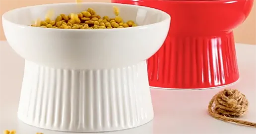 ceramic pet bowl