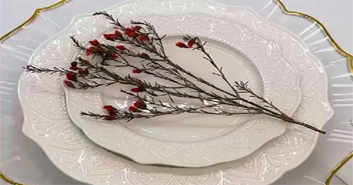 13-Inch plastic plate