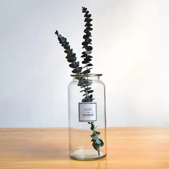Creative Glass Tabletop Flower Home Vase For Decor Hydroponic Plant Home Decor Vase