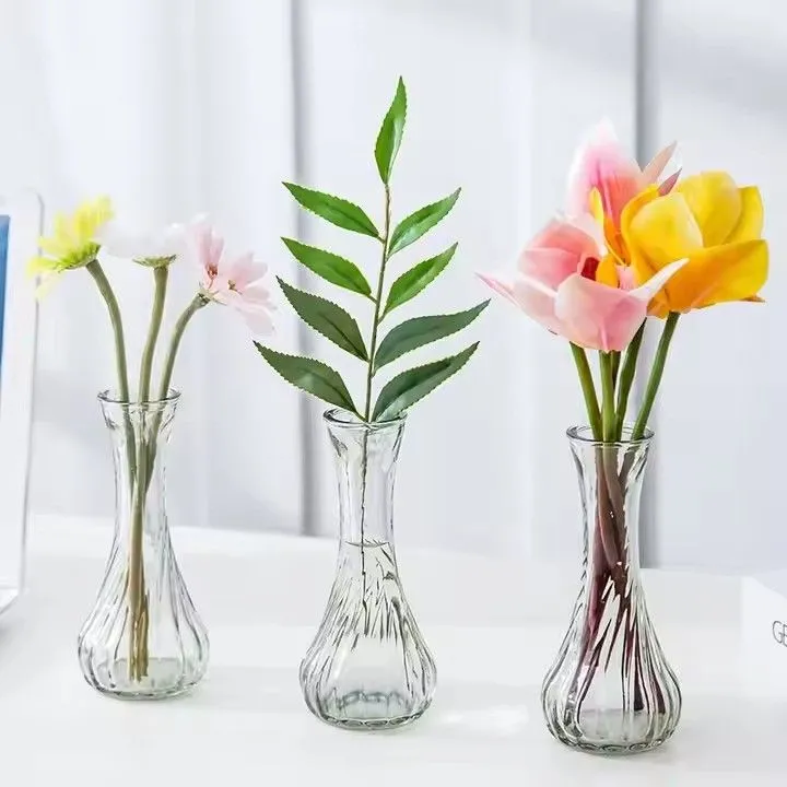 European style living room flower arrangement simple water grown glass vase