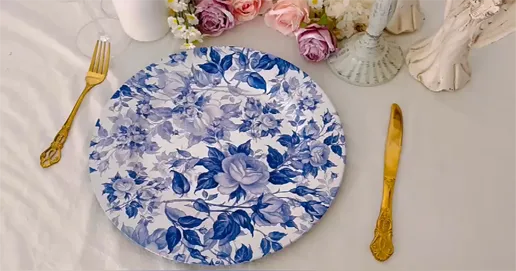 reusable plastic plate