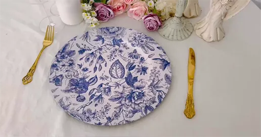 blue-and-white plastic dinner plate