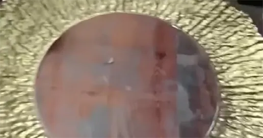 sunburst rim reef plastic