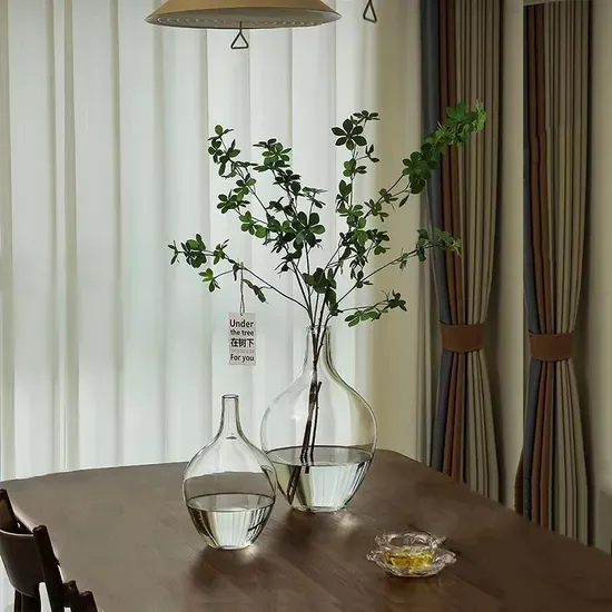 Modern Creative Big Belly Transparent Glass Vase Desktop Hydroponic Small Diameter Transparent Glass Vase