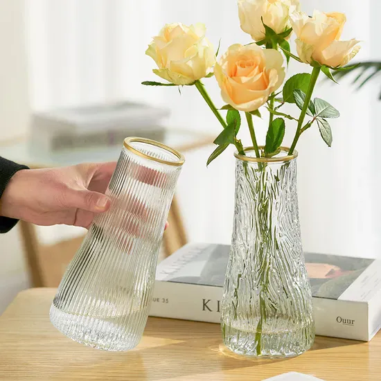 Simple Creative Glass Vase Transparent Water Living Room Home Flower Arrangement Decoration