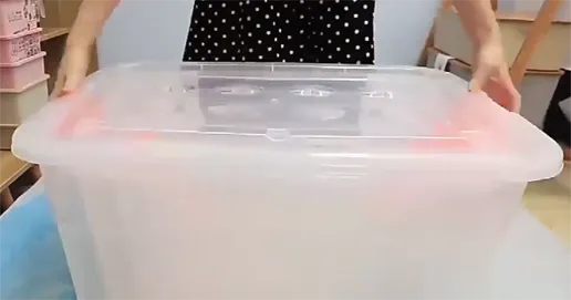 clear storage boxes