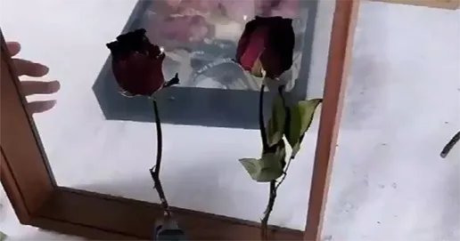 double side flower frame