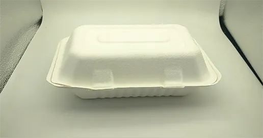 eco friendly lunch box