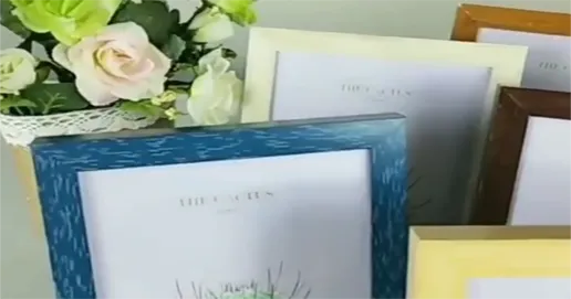 plastic picture frame