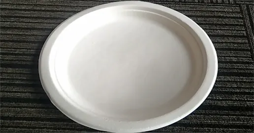 sugarcane bagasse plate