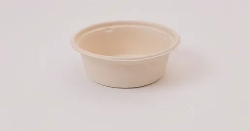 sugarcane salad container