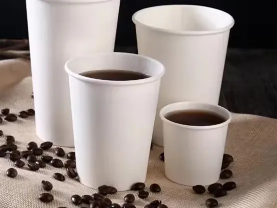 Disposable Cups: Convenience and Consideration