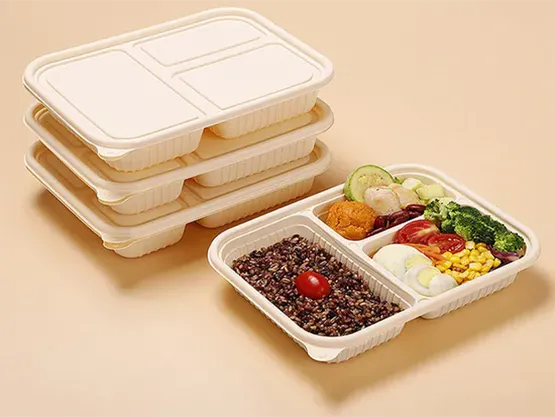 Disposable Tableware: A Comprehensive Analysis of Convenience and Sustainability