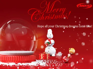 Merry Christmas 2025