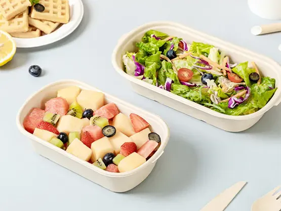 Disposable Tableware: Safe, Convenient Daily Solution