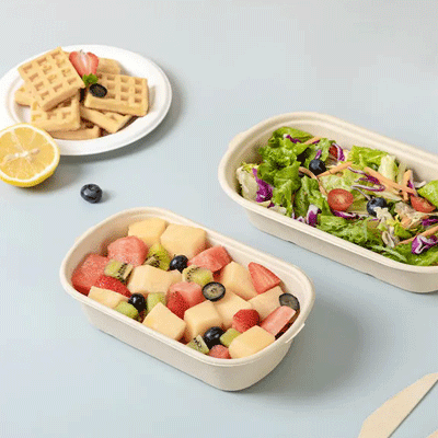 Biodegradable 8inch 9inch Bagasse Food Container Packaging Takeaway Paper Pulp Lunch Box