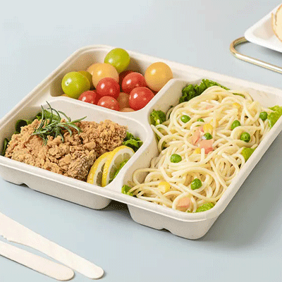 Biodegradable 8inch 9inch Bagasse Food Container Packaging Takeaway Paper Pulp Lunch Box