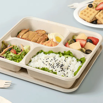 Biodegradable 8inch 9inch Bagasse Food Container Packaging Takeaway Paper Pulp Lunch Box