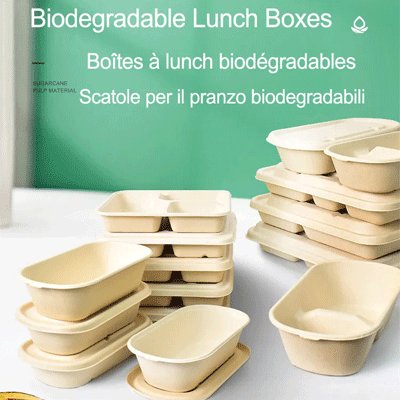 Biodegradable 8inch 9inch Bagasse Food Container Packaging Takeaway Paper Pulp Lunch Box