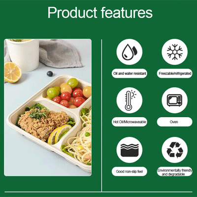 Biodegradable 8inch 9inch Bagasse Food Container Packaging Takeaway Paper Pulp Lunch Box