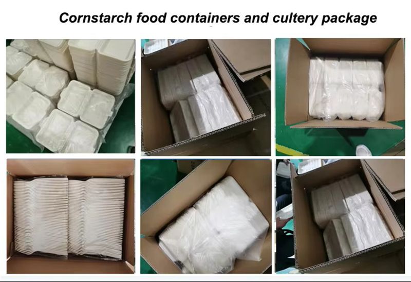 Biodegradable 8inch 9inch Bagasse Food Container Packaging Takeaway Paper Pulp Lunch Box