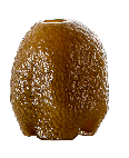 Modern Minimalist Nordic Turmeric, Olive Green, Amber Glass Vase, Light Luxury Hydroponic Vase for Living Room Dining Table